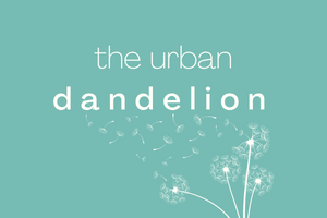 Urban Dandelion