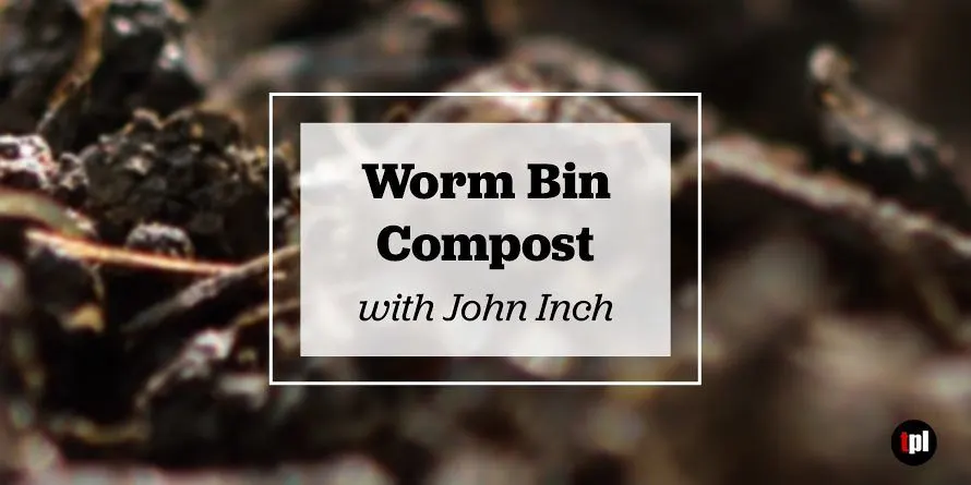 Worm Bin Compost